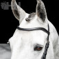 CABEZADA INGLESA HORSEWARE MICKLEM BITLESS BRIDLE