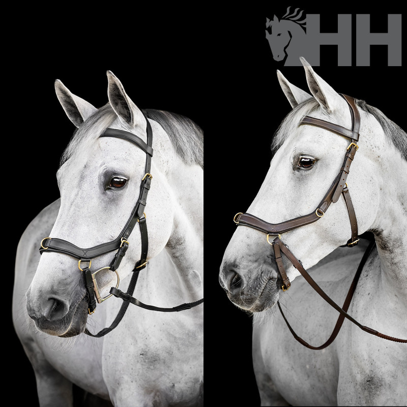 CABEZADA INGLESA HORSEWARE MICKLEM MULTI BRIDLE