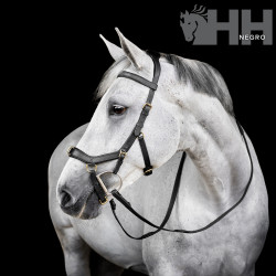CABEZADA INGLESA HORSEWARE MICKLEM MULTI BRIDLE