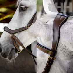 CABEZADA INGLESA HORSEWARE MICKLEM MULTI BRIDLE