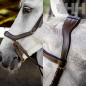 CABEZADA INGLESA HORSEWARE MICKLEM MULTI BRIDLE