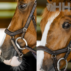 CABEZADA INGLESA HORSEWARE MICKLEM COMPETITION BRIDLE
