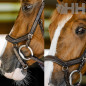 CABEZADA INGLESA HORSEWARE MICKLEM COMPETITION BRIDLE
