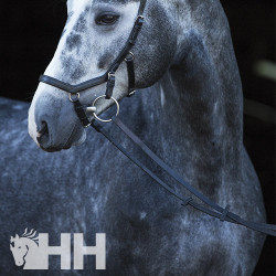 RIENDAS HORSEWARE MICKLEM COMPETITION BRIDLE