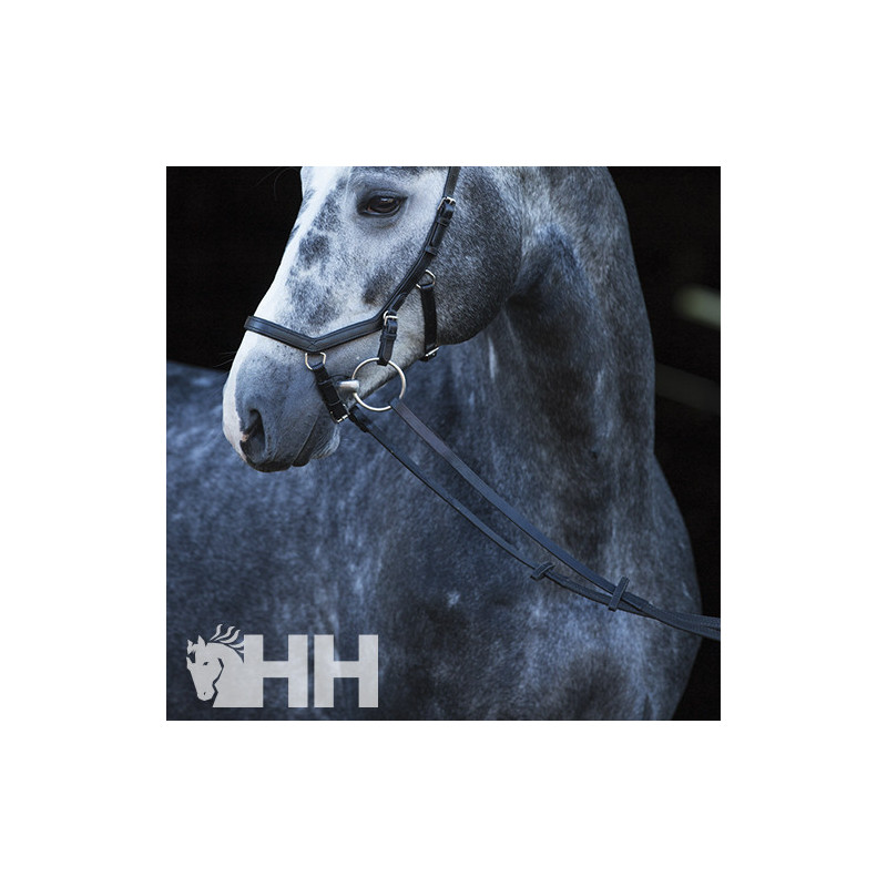 RIENDAS HORSEWARE MICKLEM COMPETITION BRIDLE