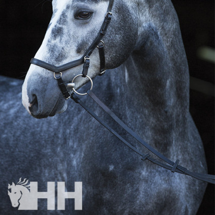 RIENDAS HORSEWARE MICKLEM COMPETITION BRIDLE