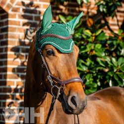 OREJERAS HORSEWARE SIGNATURE
