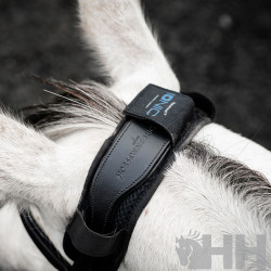 PROTECTOR TESTERO HORSEWARE IONIC CALMANTE