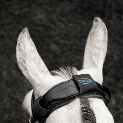 PROTECTOR TESTERO HORSEWARE IONIC CALMANTE