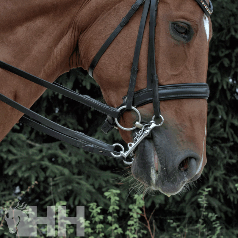 BOCADO SPRENGER BASIC DOMA FRENCH PIERNA 7cm