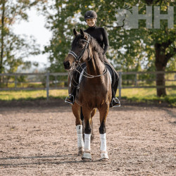 BOCADO SPRENGER BASIC DOMA HO PIERNA MOVIBLE 7cm
