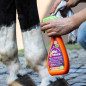 CHAMPU EQUINATURA EN SECO WATERLESS