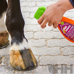 CHAMPU EQUINATURA EN SECO WATERLESS