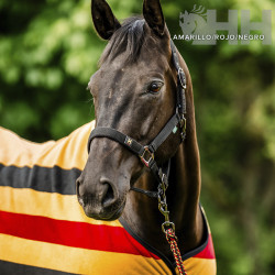 CABEZADA CUADRA HORSEWEAR NEWMARKET CON RAMAL