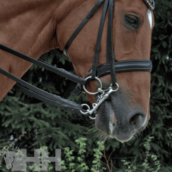 FILETE SPRENGER WH ULTRA PARA BOCADO ANILLA 55mm