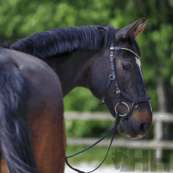 FILETE SPRENGER WH ULTRA SOFT ANILLA 70mm