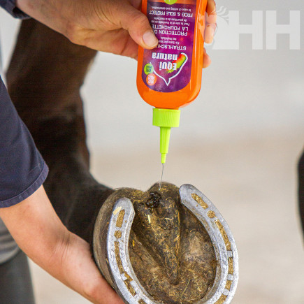 HIGIENIZADOR DE CASCOS EQUINATURA FROG & SOLE PROTECT