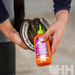 HIGIENIZADOR DE CASCOS EQUINATURA FROG & SOLE PROTECT