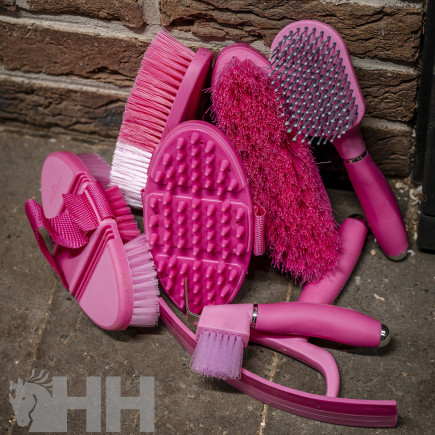 JUEGO LIMPIEZA HORSEWARE NEWMARKET