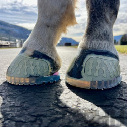 HERRADURA PEGAR EASYCARE EASYSHOE ONE GLUE (PAR)