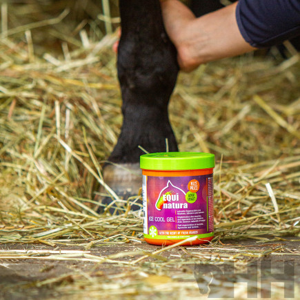 GEL TENDONES DEFATIGANTE EQUINATURA ICE COOL