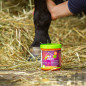 GEL TENDONES DEFATIGANTE EQUINATURA ICE COOL