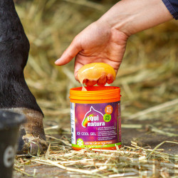 GEL TENDONES DEFATIGANTE EQUINATURA ICE COOL