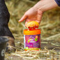 GEL TENDONES DEFATIGANTE EQUINATURA ICE COOL