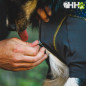 FORRO POLAR RUFFWEAR PARA PERROS CLIMATE CHANGER COVERALL