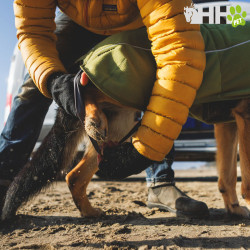 FORRO POLAR RUFFWEAR PARA PERROS CLIMATE CHANGER (NEW)