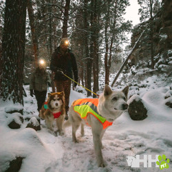 CHAQUETA DE ALTA VISIBILIDAD RUFFWEAR PARA PERROS LUMENGLOW
