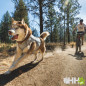 CHALECO REFRESCANTE RUFFWEAR PARA PERROS (CON CREMALLERA) SWAMP COOLER ZIP