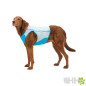 CHALECO REFRESCANTE RUFFWEAR PARA PERROS (CON CREMALLERA) SWAMP COOLER ZIP