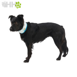 BRAGA REFRESCANTE RUFFWEAR PARA PERROS (REVERSIBLE) SWAMP COOLER NECK GAITER