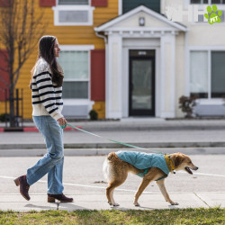 CHAQUETA RUFFWEAR PARA PERROS STUMPTOWN