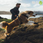 BOTA RUFFWEAR PARA PERROS RIDGELINE (PAR)