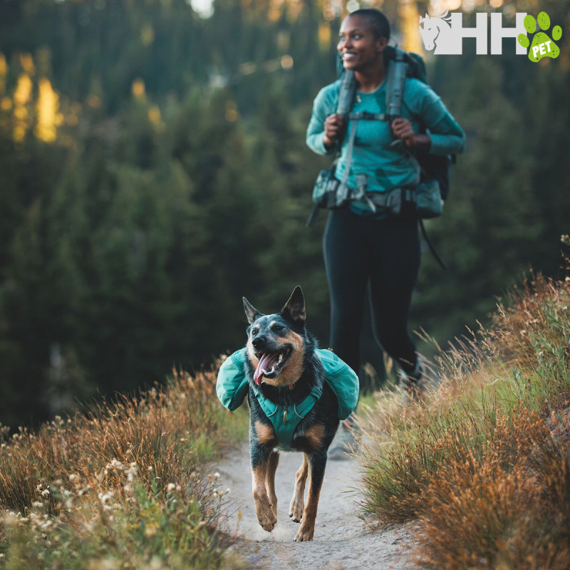 MOCHILA RUFFWEAR PARA PERROS FRONT RANGE