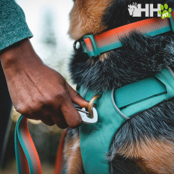 MOCHILA RUFFWEAR PARA PERROS FRONT RANGE