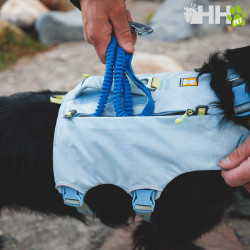 MOCHILA RUFFWEAR PARA PERROS PALISADES (NEW)