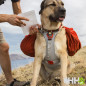 MOCHILA RUFFWEAR PARA PERROS PALISADES