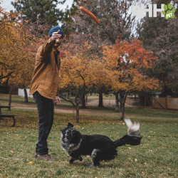 PALO RUFFWEAR PARA PERROS GNAWT-A-STICK