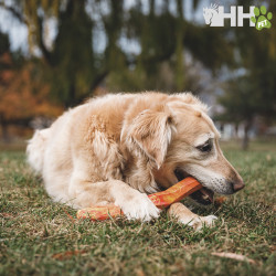 PALO RUFFWEAR PARA PERROS GNAWT-A-STICK