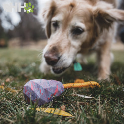 JUGUETE PARA LANZAR RUFFWEAR PARA PERROS HUCK-A-CONE