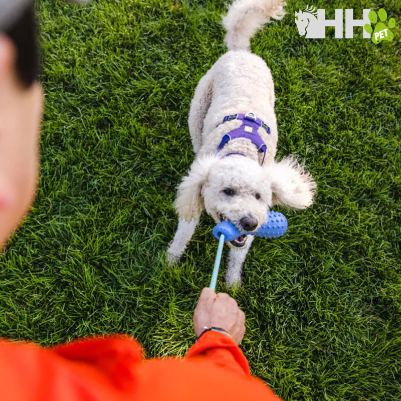 JUGUETE PARA LANZAR RUFFWEAR PARA PERROS GOURDO