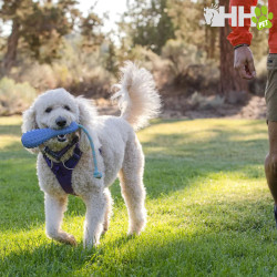 JUGUETE PARA LANZAR RUFFWEAR PARA PERROS GOURDO