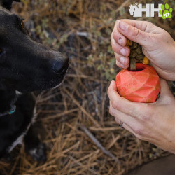 PIÑA RUFFWEAR PARA PERROS GNAWT-A-CONE