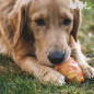PIÑA RUFFWEAR PARA PERROS GNAWT-A-CONE