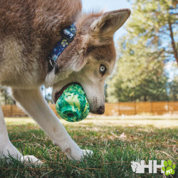 JUGUETE PARA LANZAR RUFFWEAR PARA PERROS MOREL