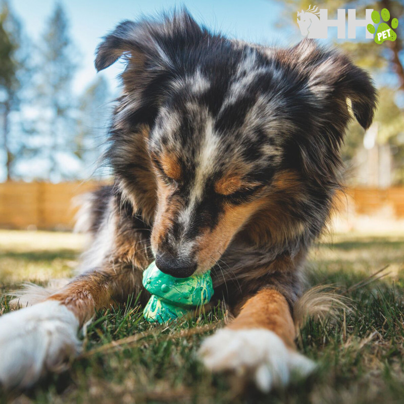 JUGUETE PARA LANZAR RUFFWEAR PARA PERROS TOADSTOOL
