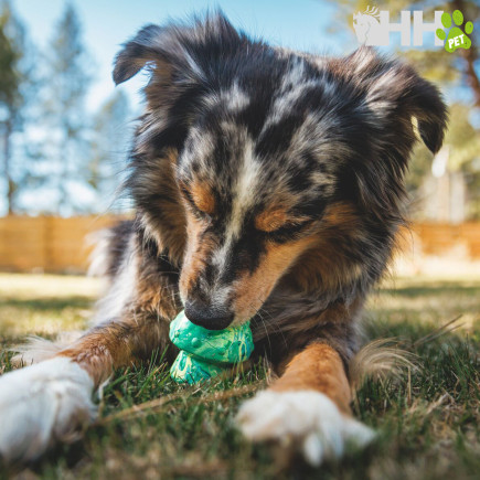 JUGUETE PARA LANZAR RUFFWEAR PARA PERROS TOADSTOOL